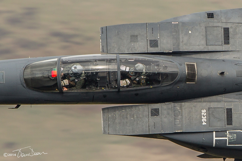 Illustration for article titled Amazing close-up photos capture war planes and birds' majesty in motion